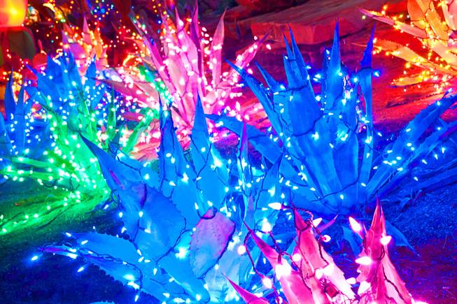 Ethel M Chocolates' Holiday Cactus Garden displaying over half a million lights , Thursday Dec. 8, 2011.